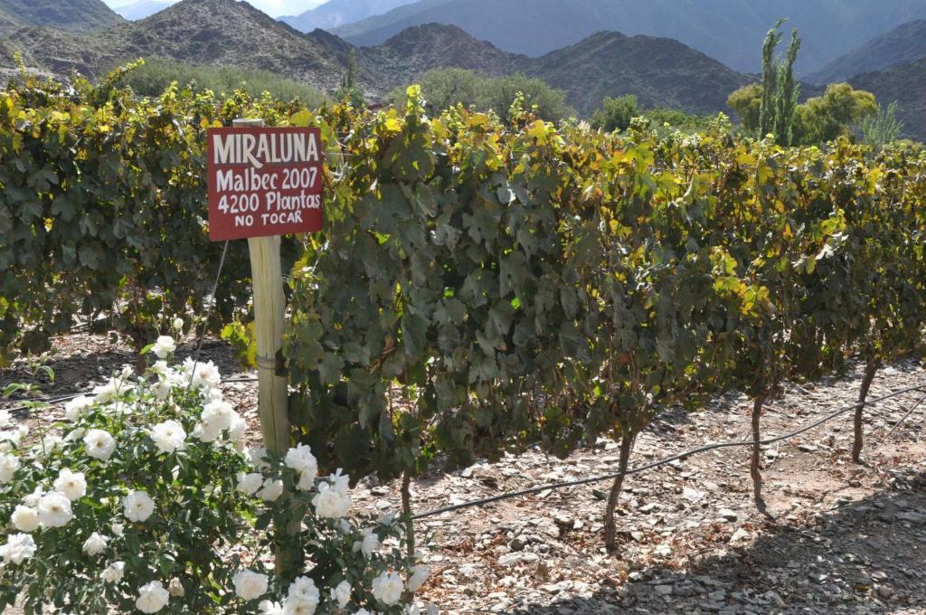 Miraluna Bodega Boutique Cachí Exterior foto
