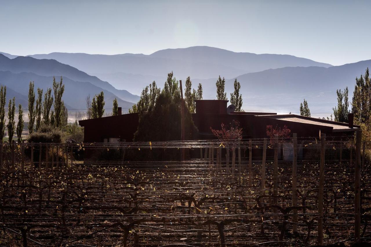 Miraluna Bodega Boutique Cachí Exterior foto