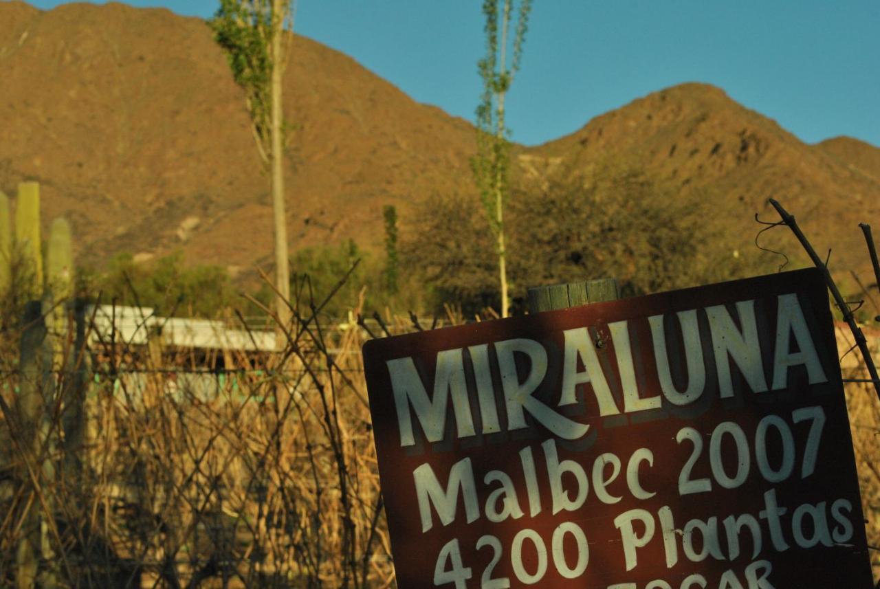 Miraluna Bodega Boutique Cachí Exterior foto